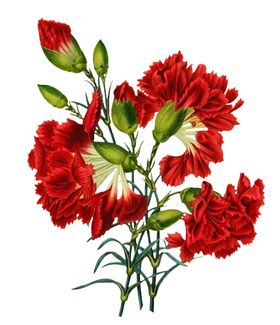 复古鲜花主题装饰图案