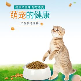 萌宠猫咪的口粮