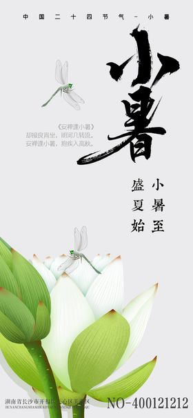 小暑 节气 海报