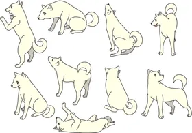 狗动态