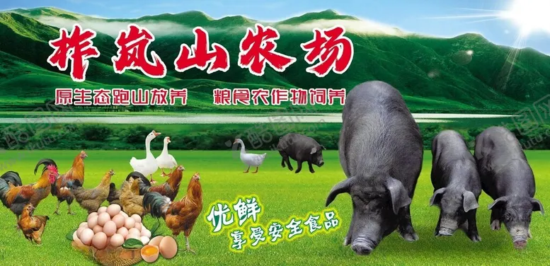编号：67005802261101222910【酷图网】源文件下载-生态农场