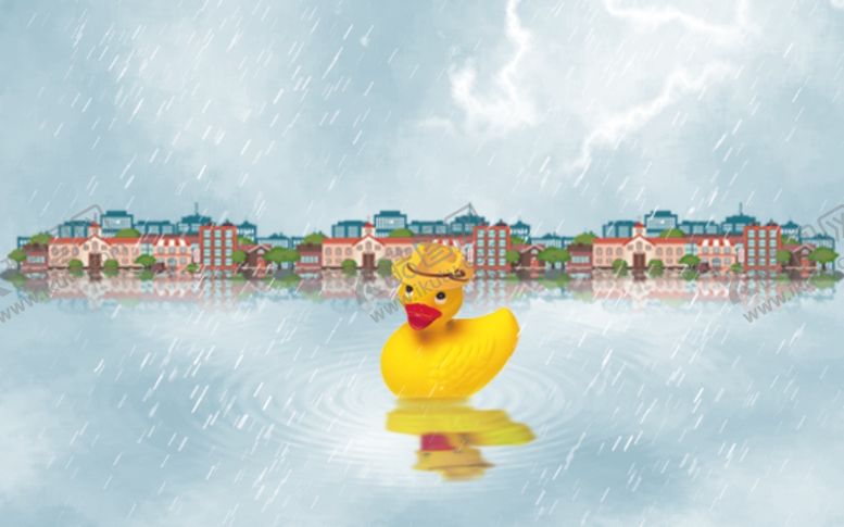 编号：63511209270425247280【酷图网】源文件下载-雨中小黄鸭