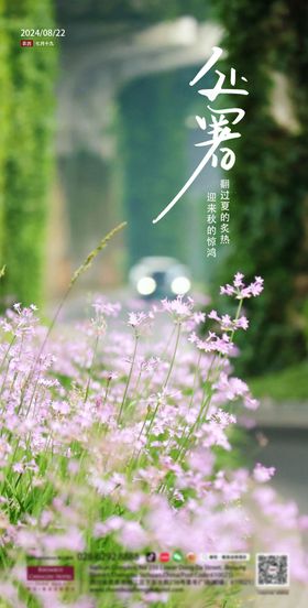 处暑节气海报