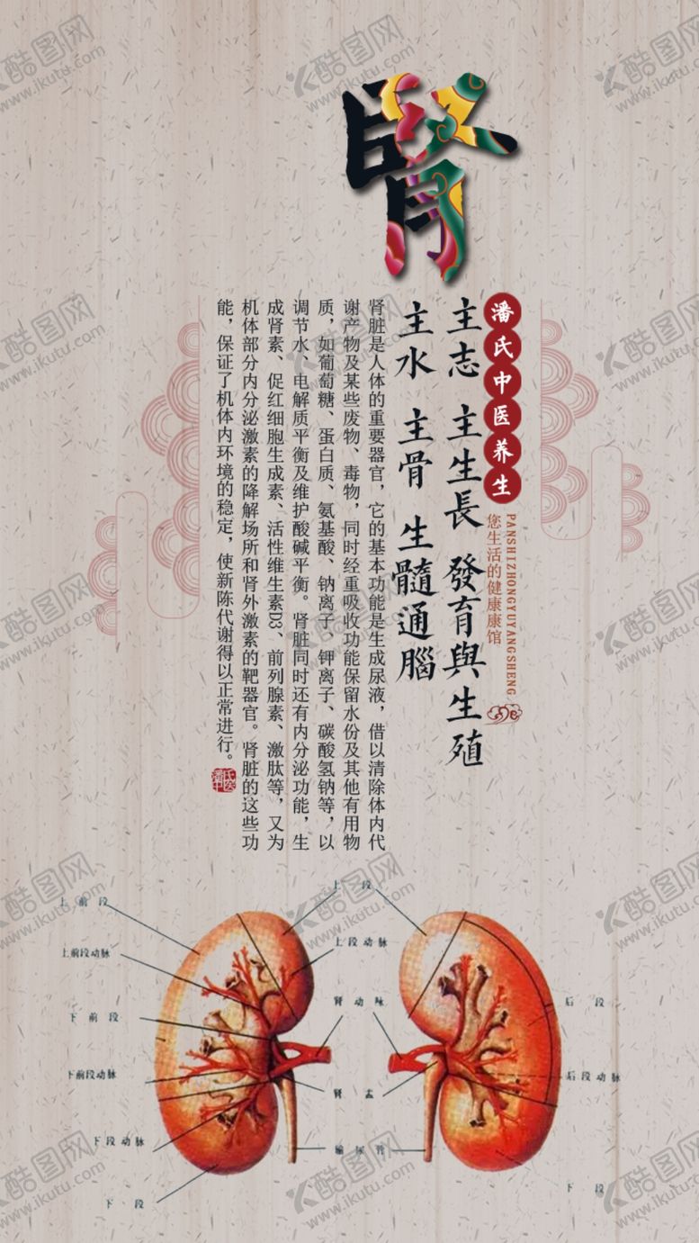 编号：75113309262311576305【酷图网】源文件下载-中医理疗