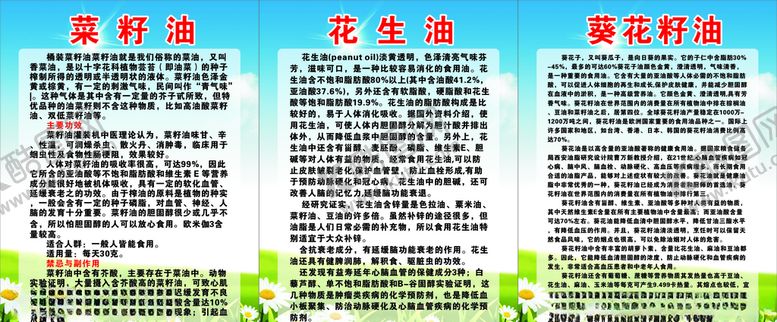 编号：57096309212330413357【酷图网】源文件下载-花生油菜籽油介绍海报
