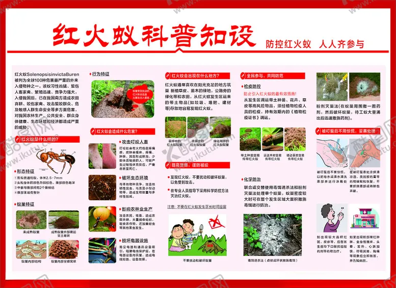 编号：67989302241233526047【酷图网】源文件下载-红火蚁科普知识
