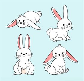 兔子