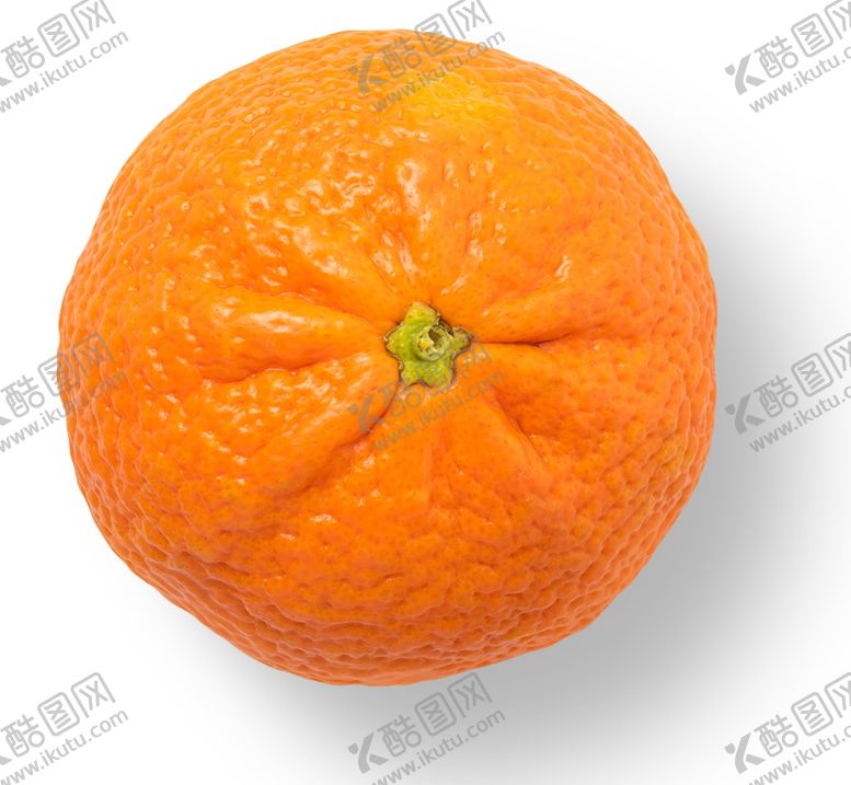 编号：91215205120746024104【酷图网】源文件下载-橘子