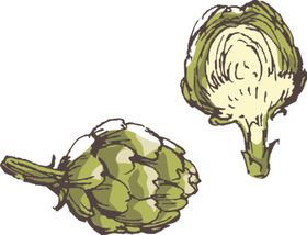 素描鲜花