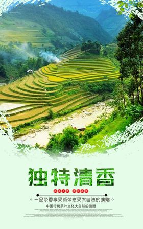 茶叶海报新茶上市创意海报