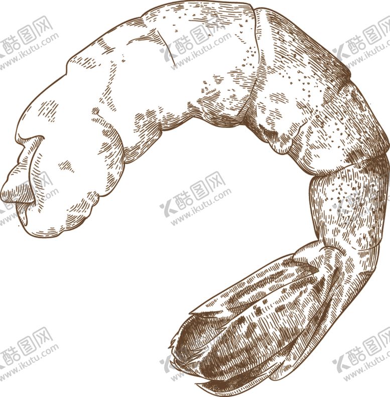 编号：75322010312029186479【酷图网】源文件下载-农作物素描
