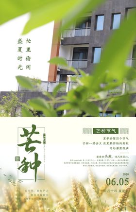 清新二十四节气芒种海报设计