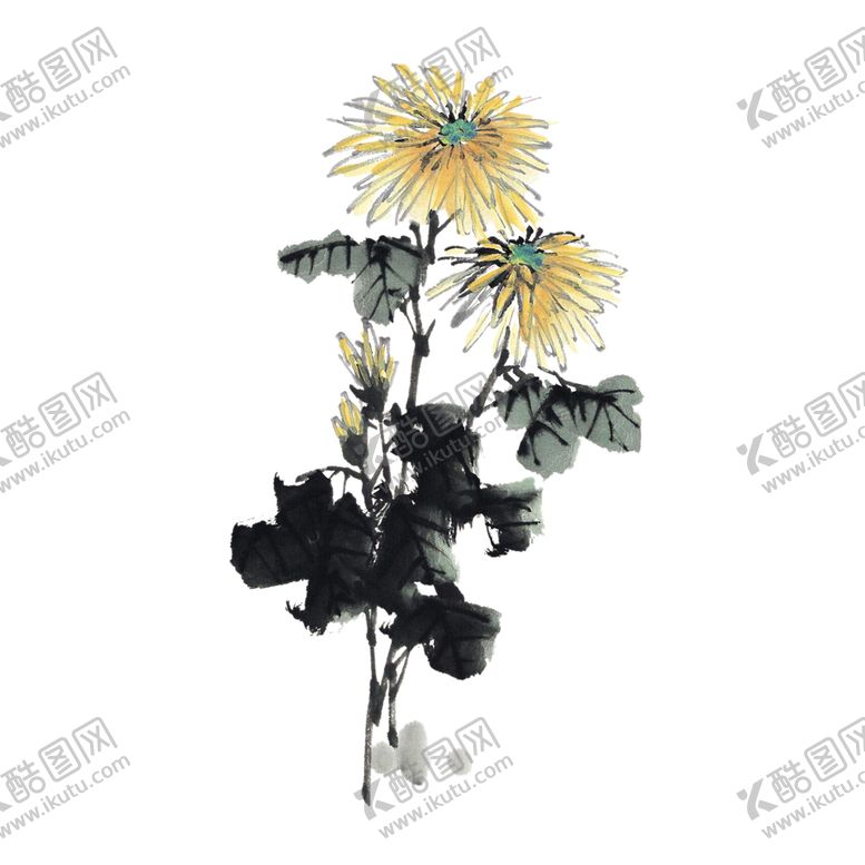 编号：78669704251939413612【酷图网】源文件下载-菊花装饰