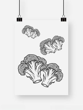 简约西兰花插画艺术图