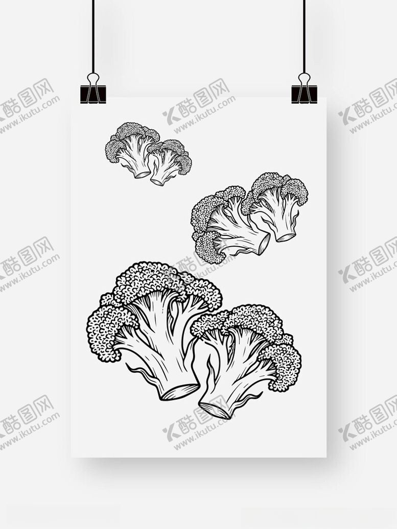 编号：50583609252327102868【酷图网】源文件下载-简约西兰花插画艺术图