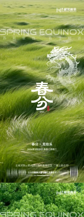 龙抬头春分节日节气海报春天