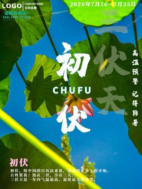 三伏天主题星空夜场啤酒