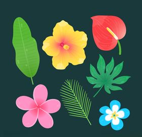 线条矢量手绘花草植物