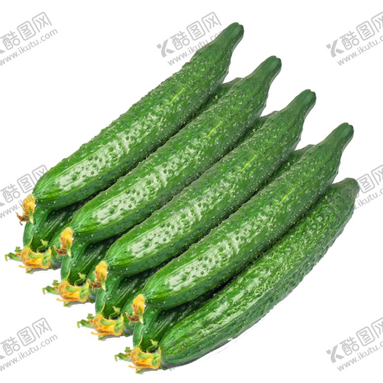 编号：81027205031451078225【酷图网】源文件下载-黄瓜免扣素材
