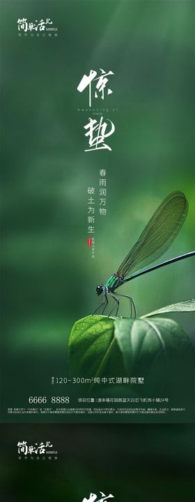 地产惊蛰海报叶子二十四节气植物