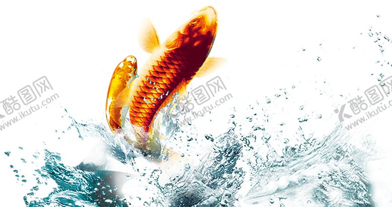 编号：70394010312014066747【酷图网】源文件下载-水花