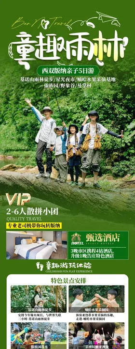 童趣雨林研学海报长图