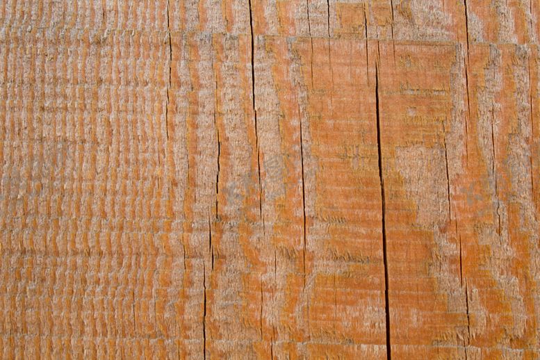 编号：67159809240507529010【酷图网】源文件下载-树皮