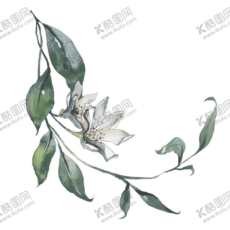 编号：24642109290320019135【酷图网】源文件下载-小清新水彩植物树枝