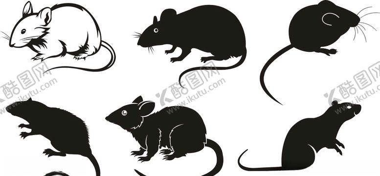 编号：80938409221828437649【酷图网】源文件下载-老鼠