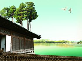 古代建筑白鸽背景