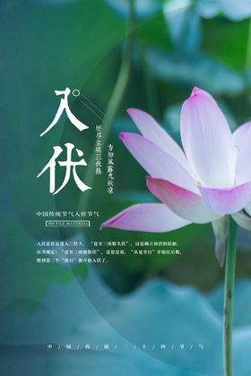 入伏