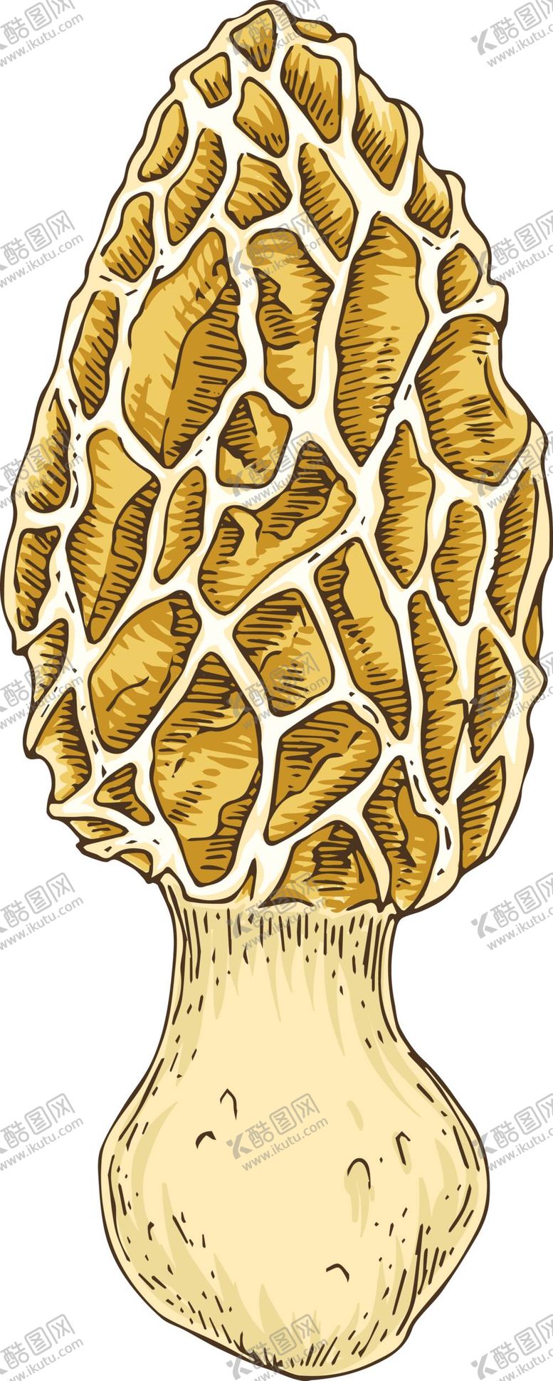编号：53053610291834182382【酷图网】源文件下载-菌类插画图片 