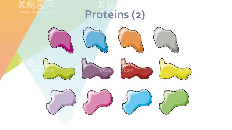 编号：76673802010952098400【酷图网】源文件下载-细胞生物学和组织学