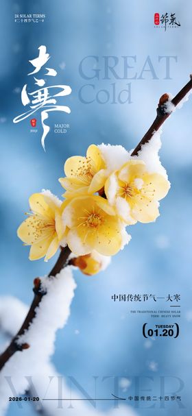 大寒海报