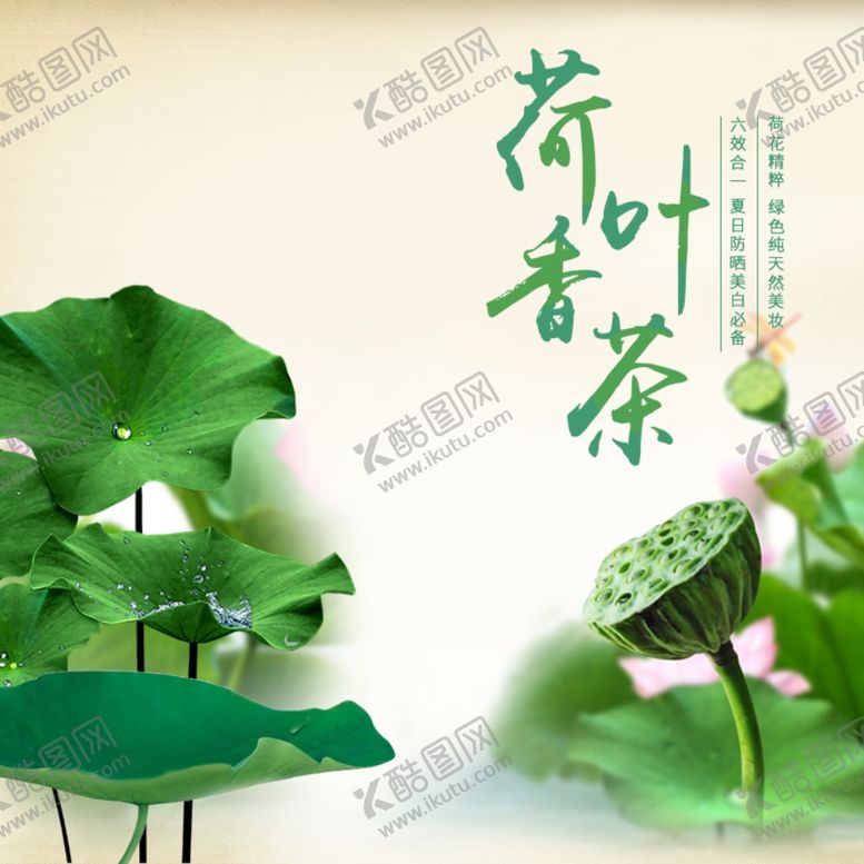 编号：55581509102340539665【酷图网】源文件下载-茶叶茶饮活动促销优惠淘宝主图