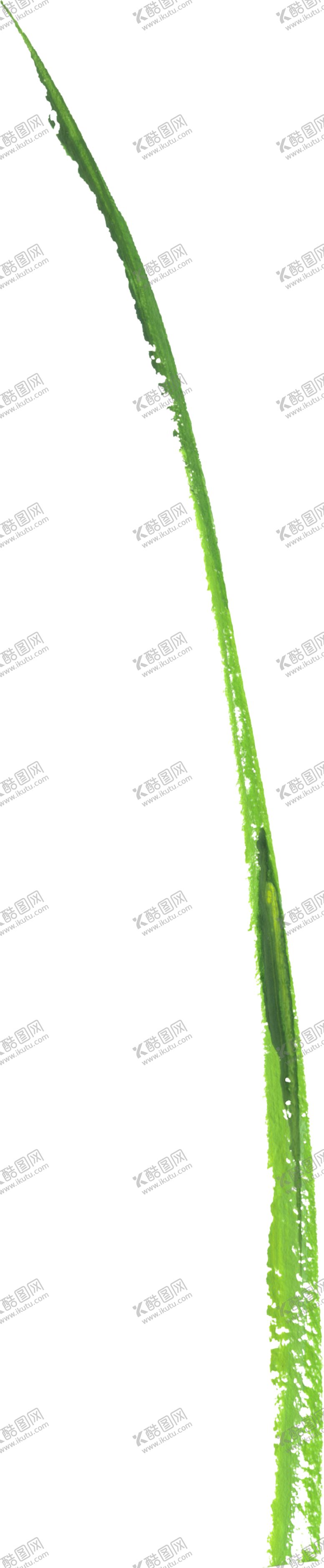 编号：64166505100815489175【酷图网】源文件下载-水彩手绘花卉花朵植物