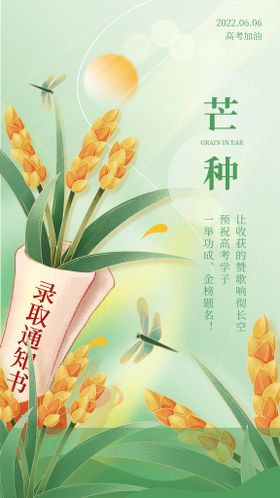 芒种二十四节气海报