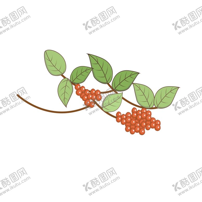 编号：60928609221257123479【酷图网】源文件下载-枸杞