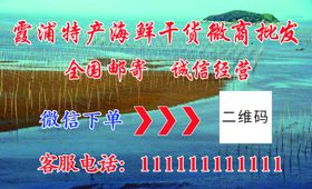 海鲜名片图片