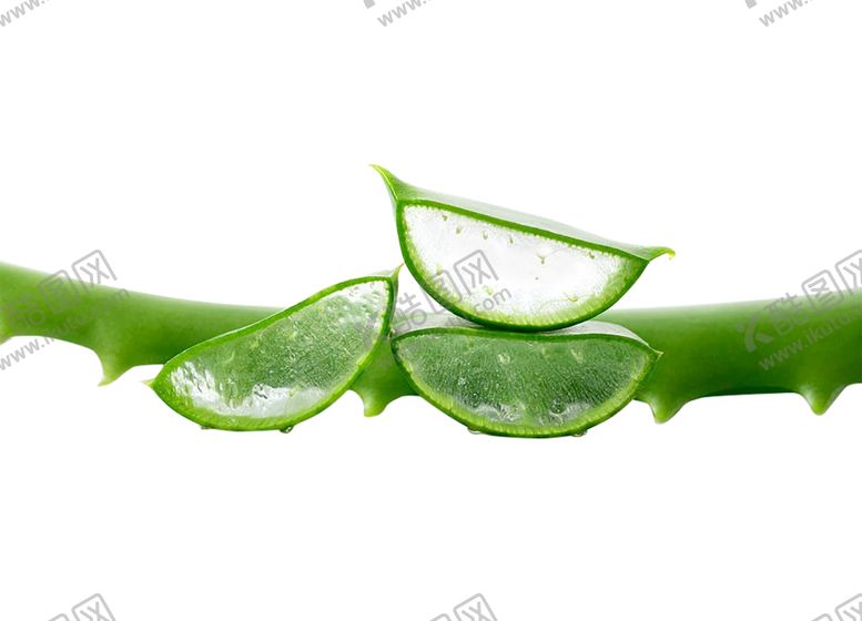 编号：46983109281647187582【酷图网】源文件下载-绿色相框