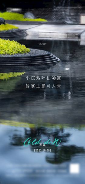 地产寒露节气微单飞机稿海报