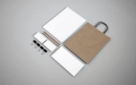 高端vi样机应用级logo办公