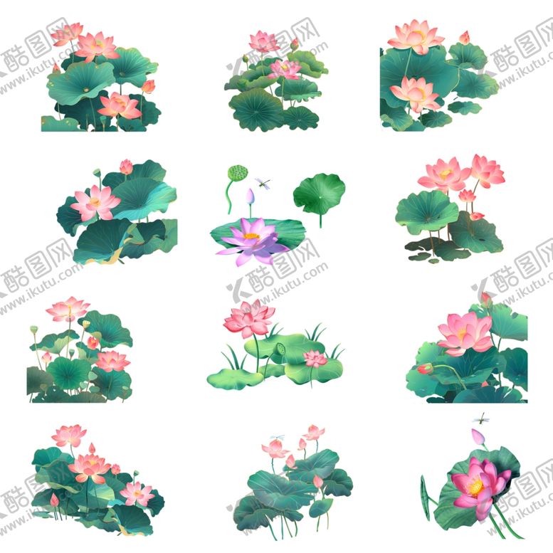 编号：99702002120215004322【酷图网】源文件下载-荷花