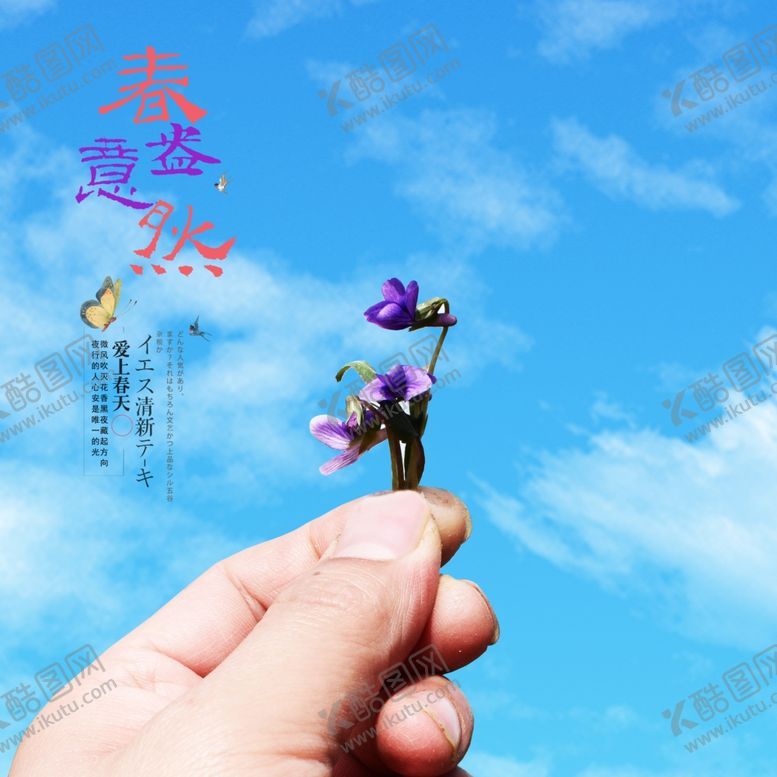 编号：18538806280656544951【酷图网】源文件下载-紫花地丁