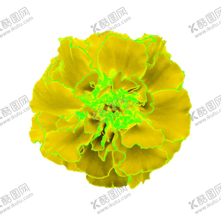 编号：61736207012240095984【酷图网】源文件下载-花素材