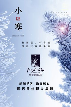 房地产项目小寒朋