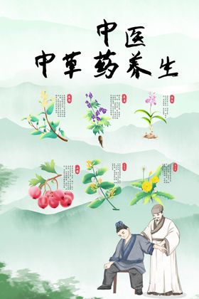 中草药海报