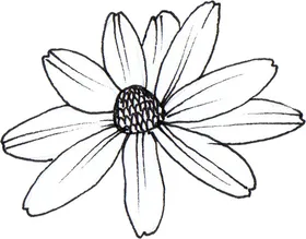 手绘画