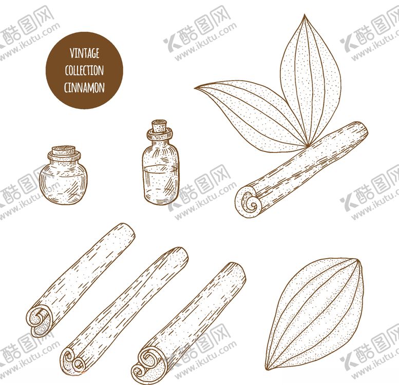 编号：77992907010622068627【酷图网】源文件下载-植物线稿