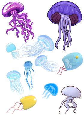 水母